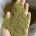 新疆孜然碎
