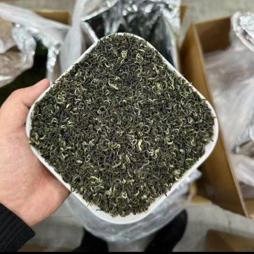 浓栗香毛峰，二采好货，干茶翠绿显毫栗香味十足，泡开芽多
