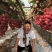 辽宁妮娜皇后葡萄苗/供应葡萄苗保质保真保成活