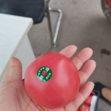 电商番茄