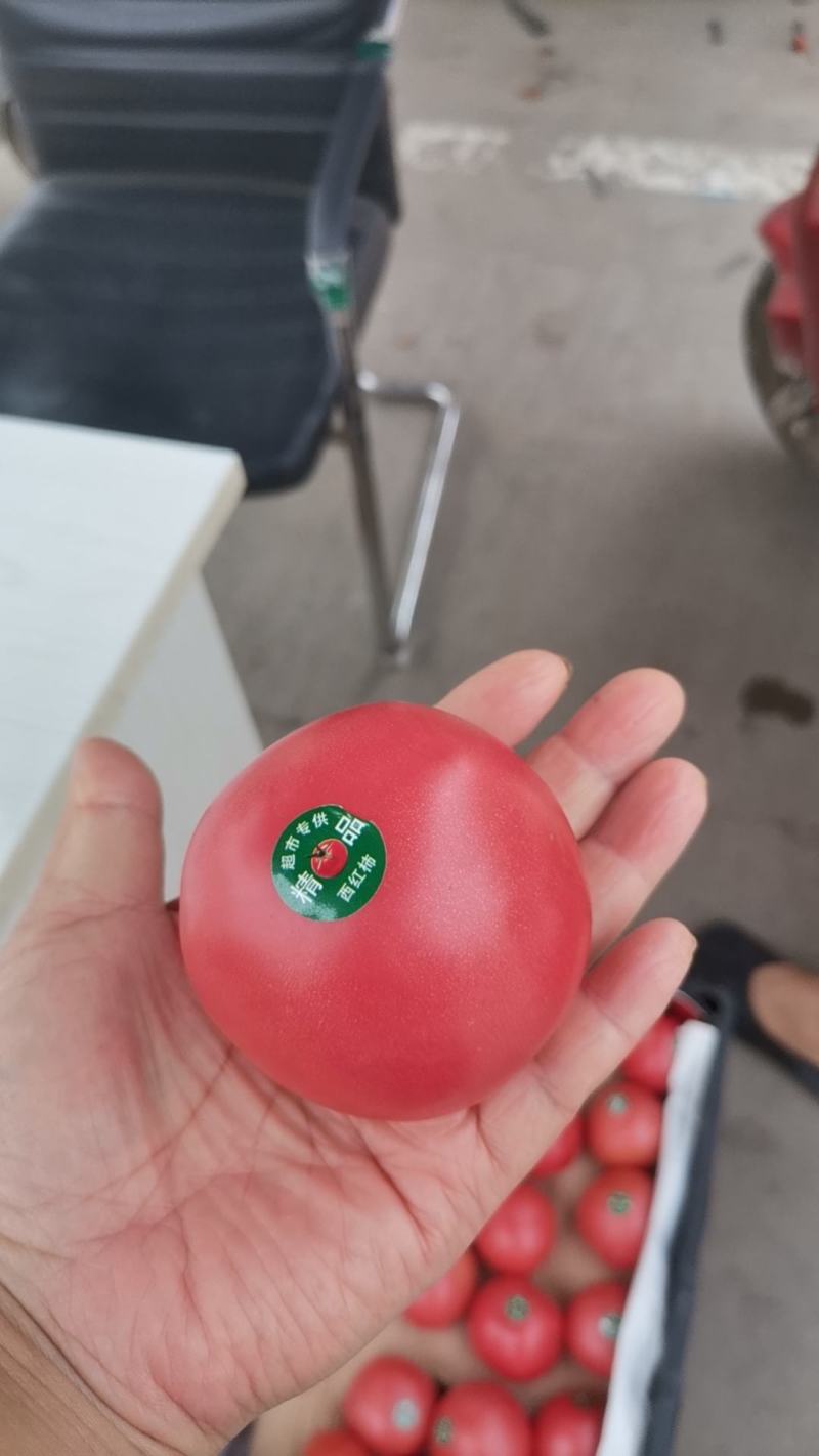 电商番茄