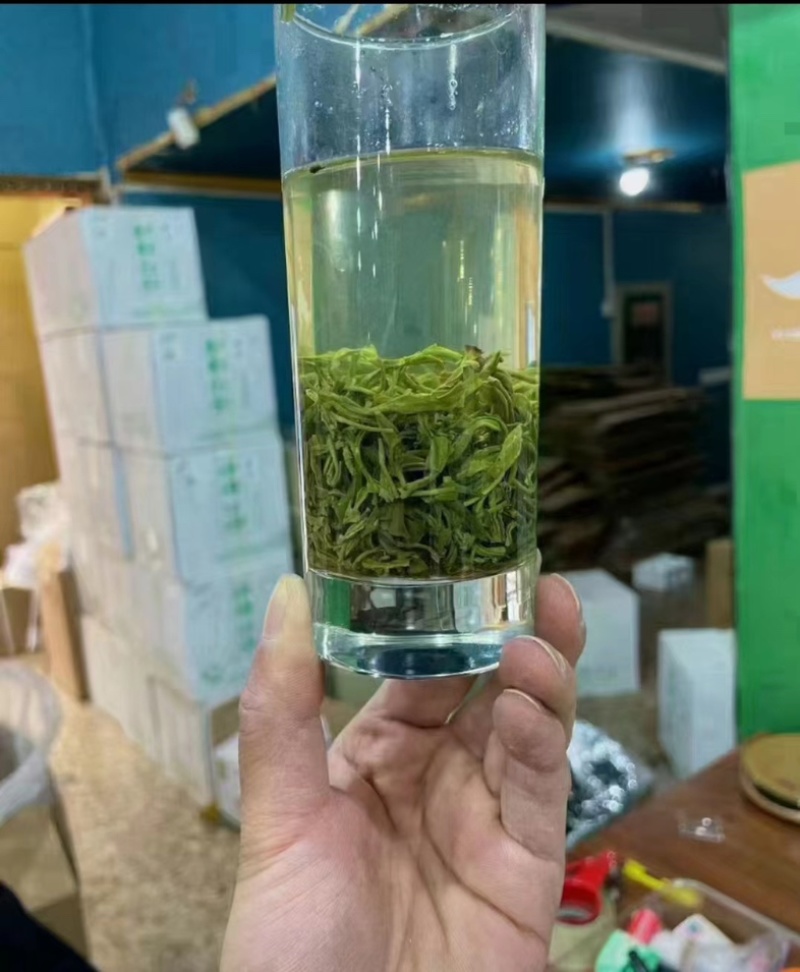 卷毛峰栗香味扑鼻少许白头干干净净无杂质