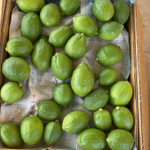 广东香水一级果