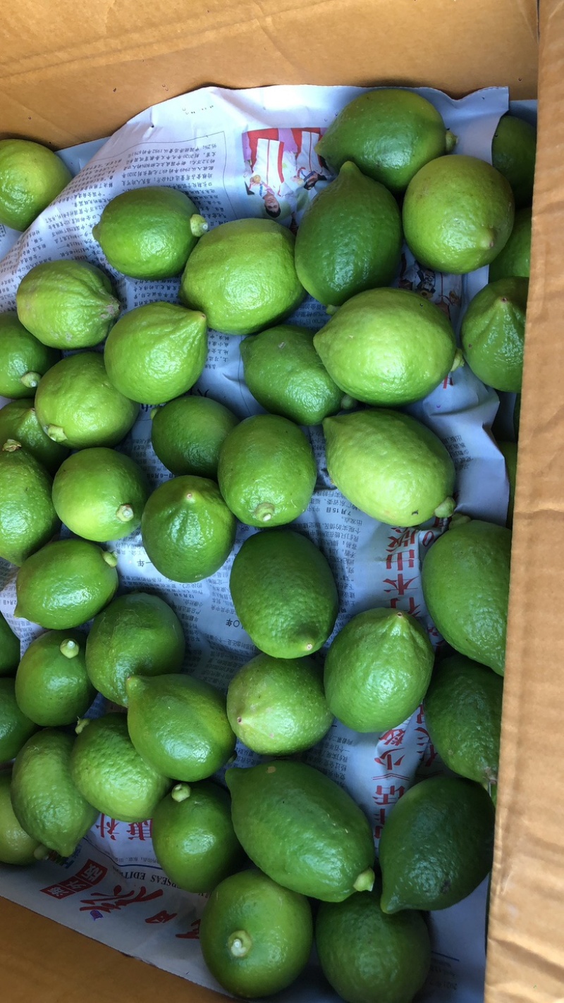 广东香水一级果