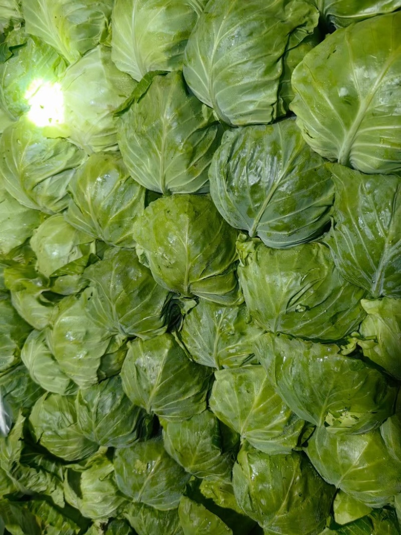 上海青，鲜花生，西红柿，等等
