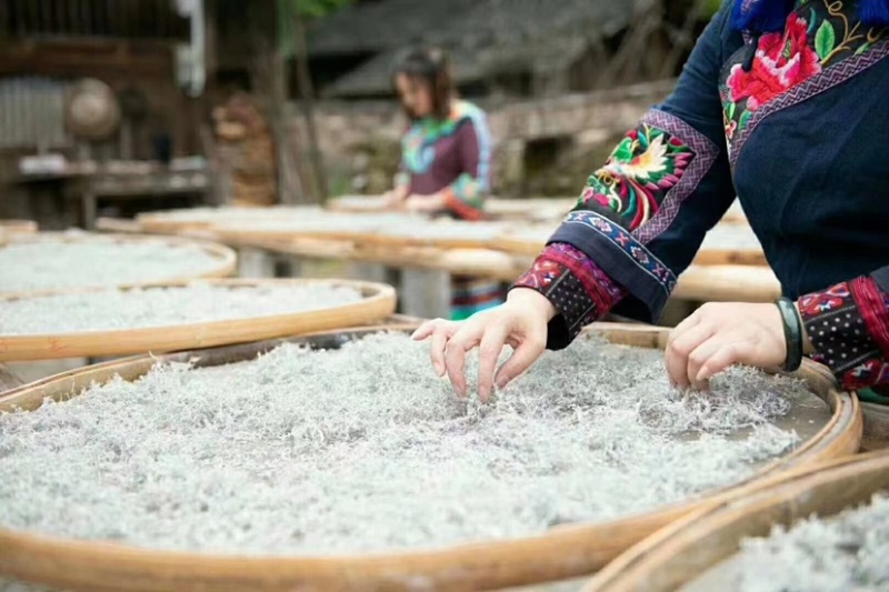 精品张家界茅岩莓茶，产地直发价格真实欢迎选购
