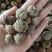 草豆蔻草蔻大草蔻祥泰药材栈中药材批发零售实物拍摄量多