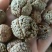 草豆蔻草蔻大草蔻祥泰药材栈中药材批发零售实物拍摄量多