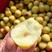 沾化冬枣精品鲜枣大量上市产地发货现摘现发量大从优