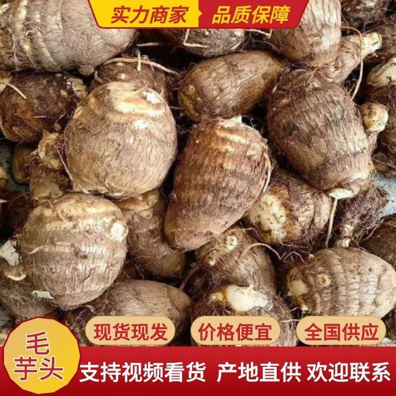 【热卖】云南芋头，粉糯香甜，电商商超市场零卖大量供应