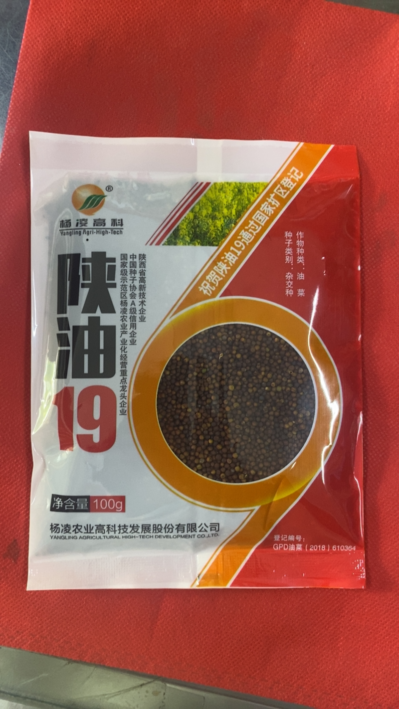 陕油19/甘杂5号油菜种子高油抗冻耐旱