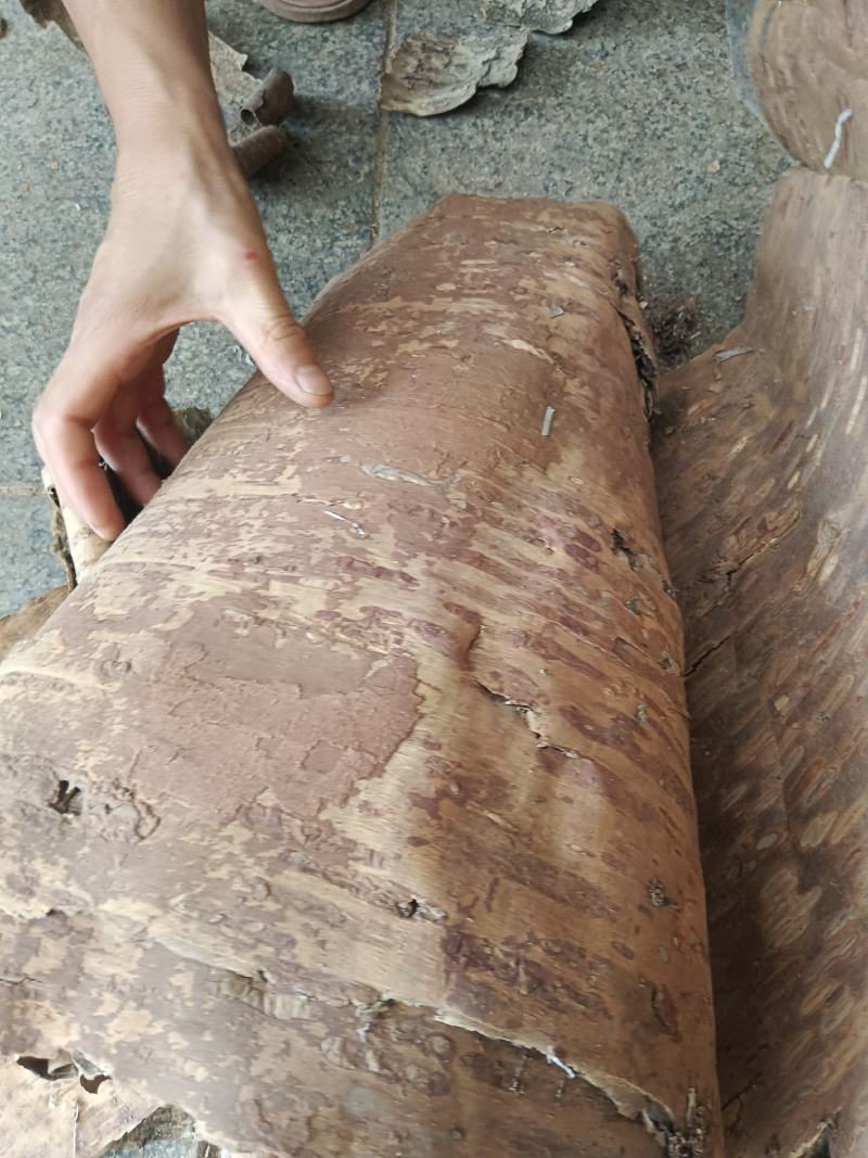 桦树皮，统货，产地一手货源，实拍现货24小时内发货