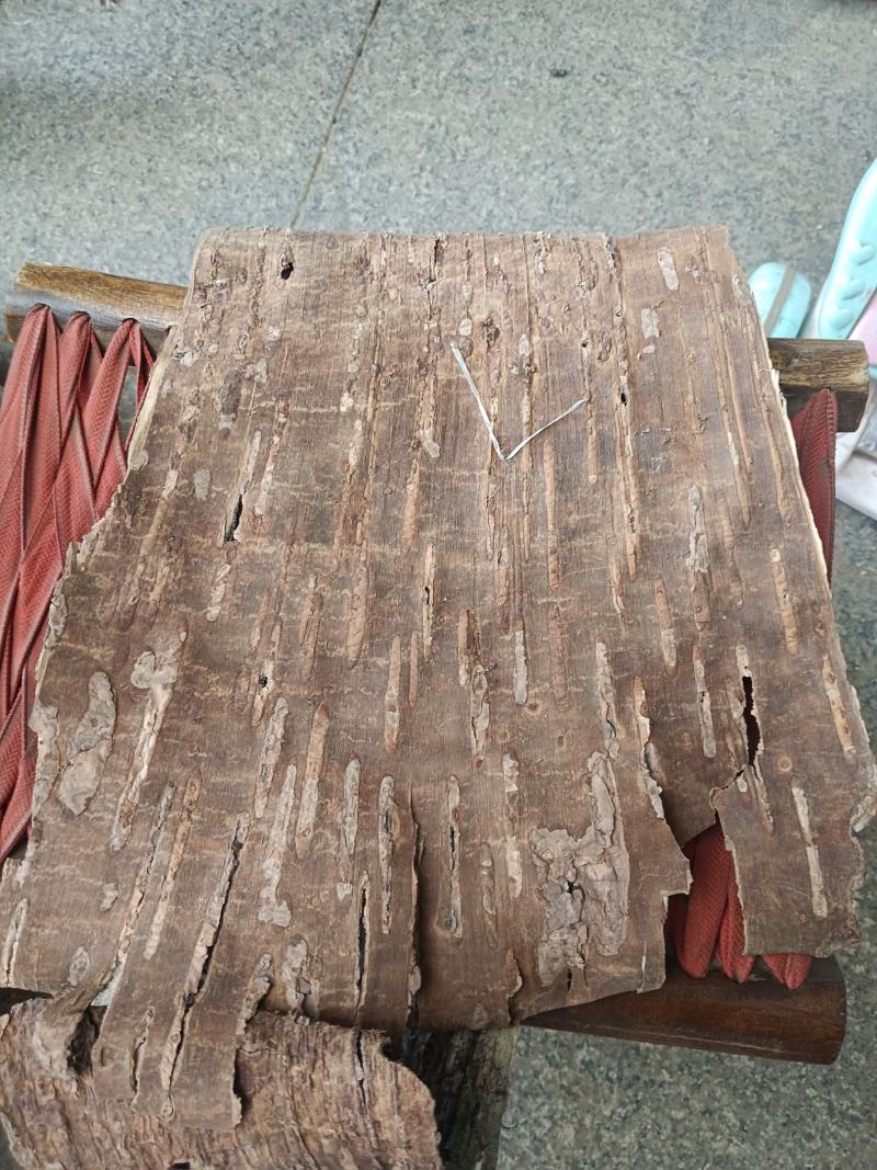 桦树皮，统货，产地一手货源，实拍现货24小时内发货