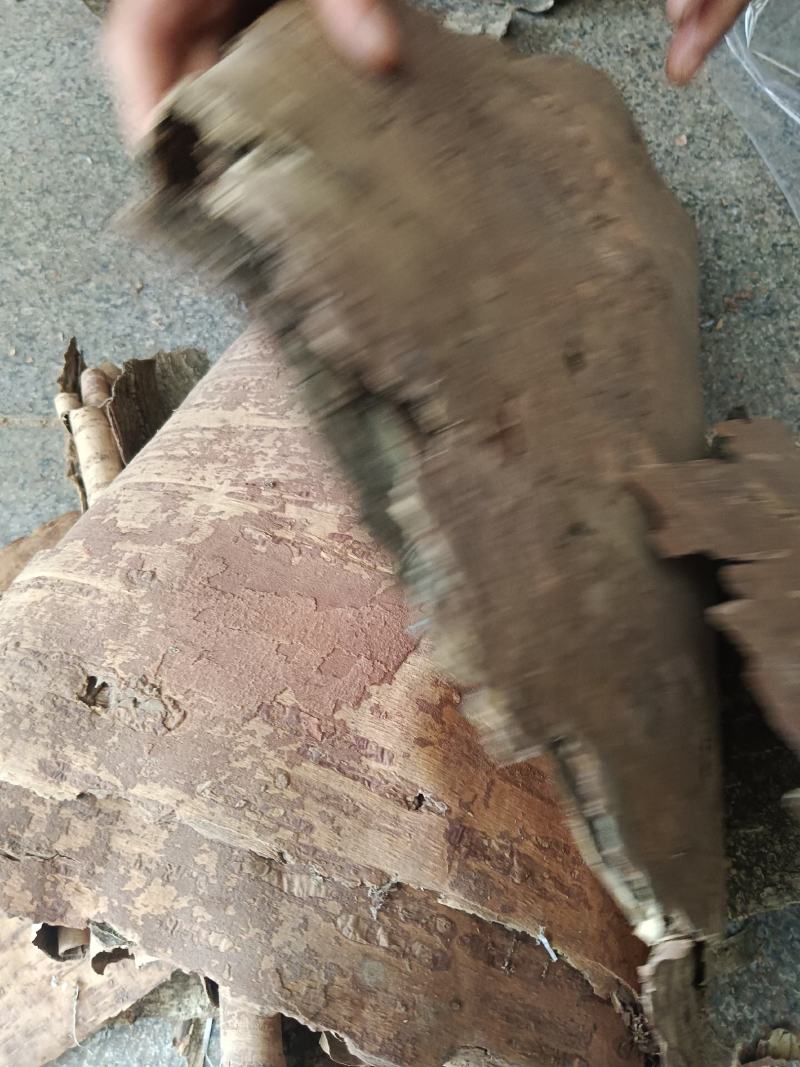 桦树皮，统货，产地一手货源，实拍现货24小时内发货