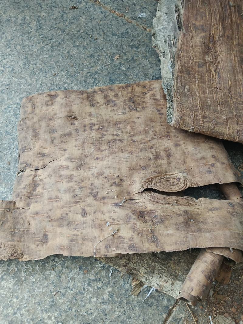 桦树皮，统货，产地一手货源，实拍现货24小时内发货