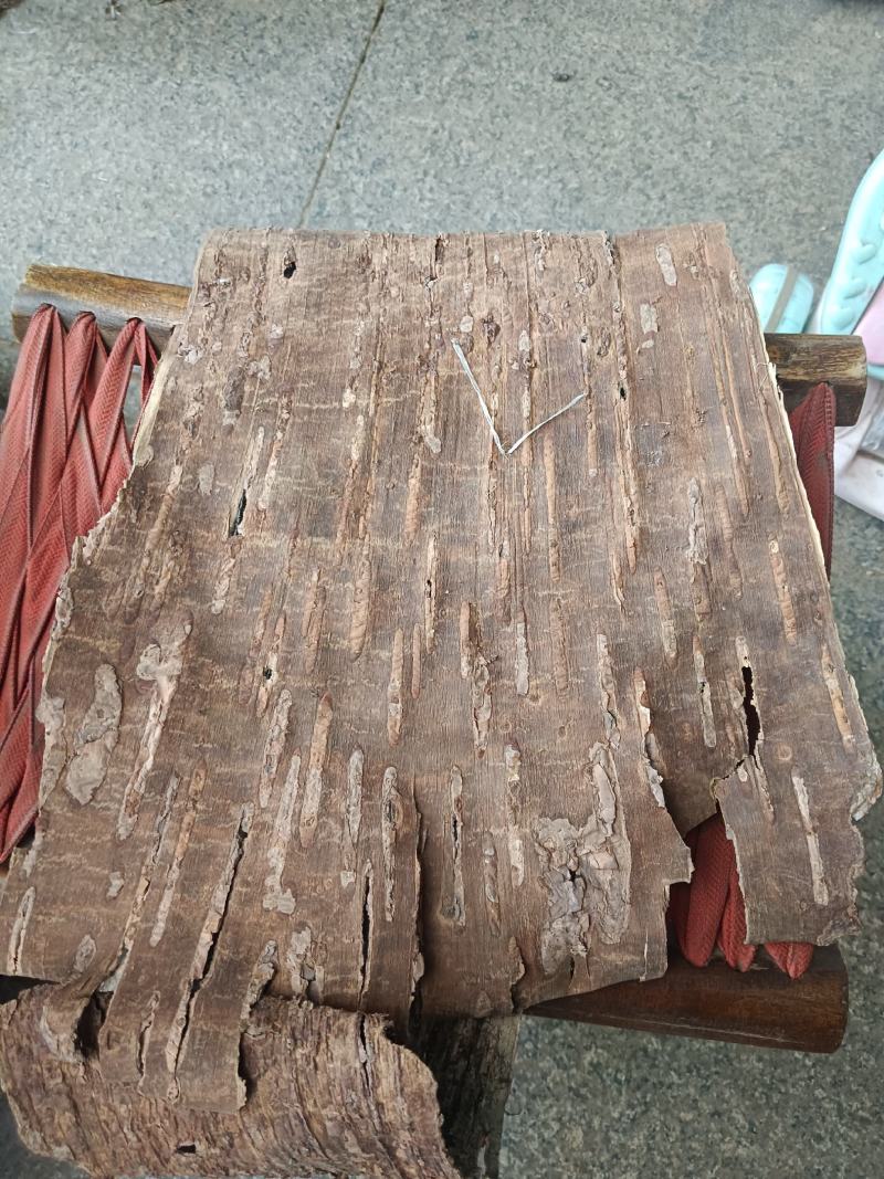 桦树皮，统货，产地一手货源，实拍现货24小时内发货