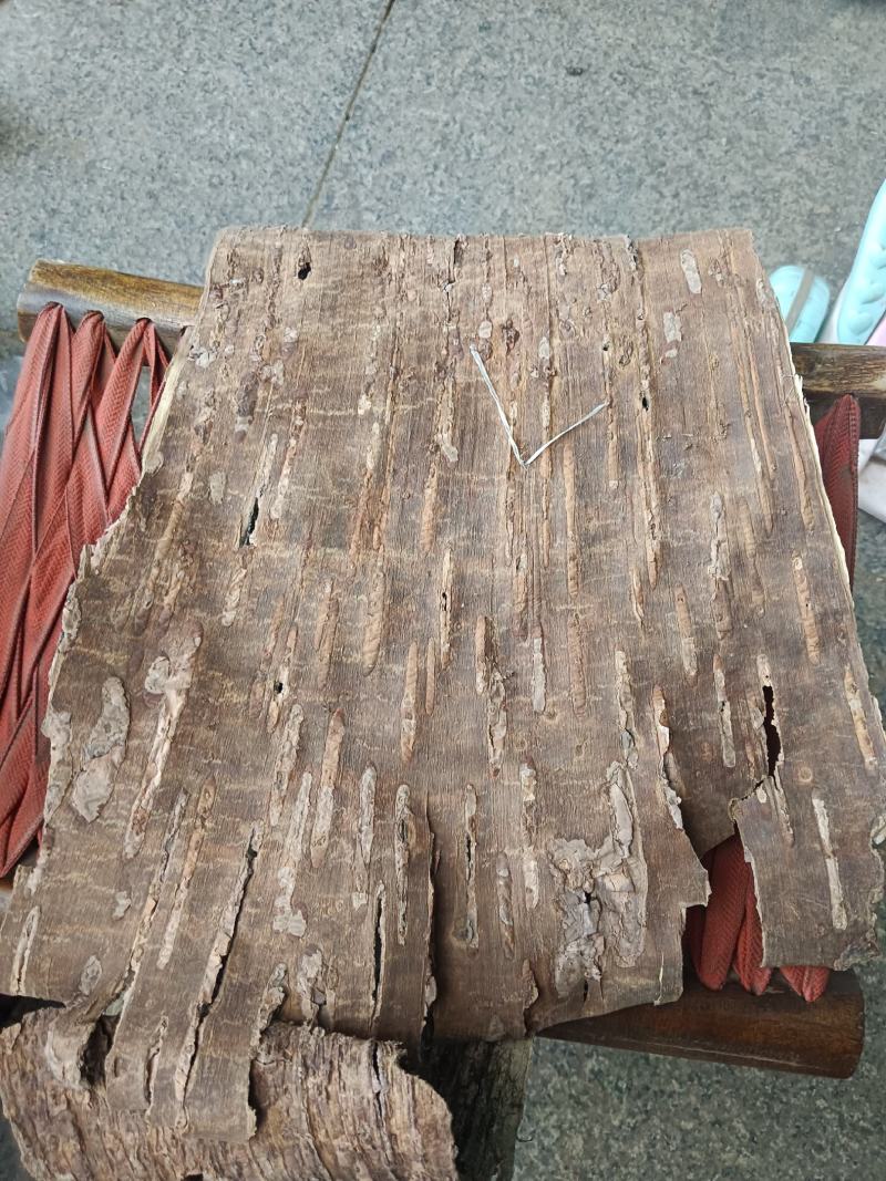 桦树皮，统货，产地一手货源，实拍现货24小时内发货