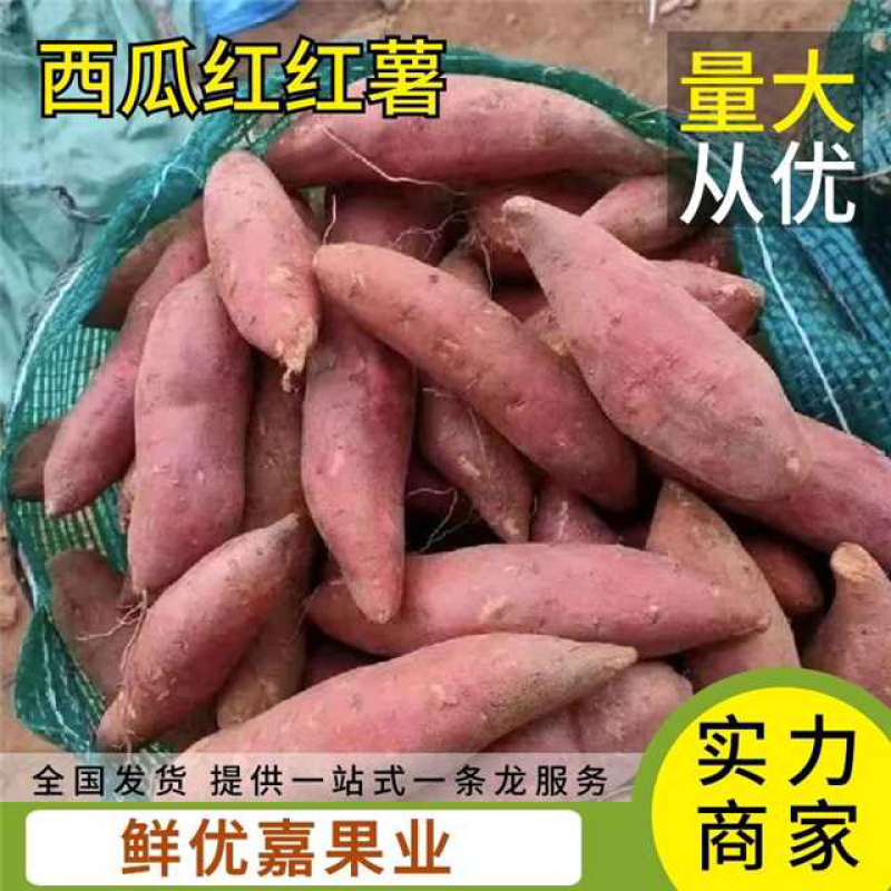 【实力红薯】西瓜红红薯湖北产地货源充足稳定来电优惠