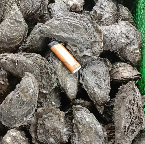 阳江豆豉特写