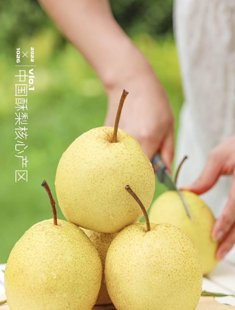精品-蒲城酥梨-产地直发-量大从优-价格优惠-电话在线