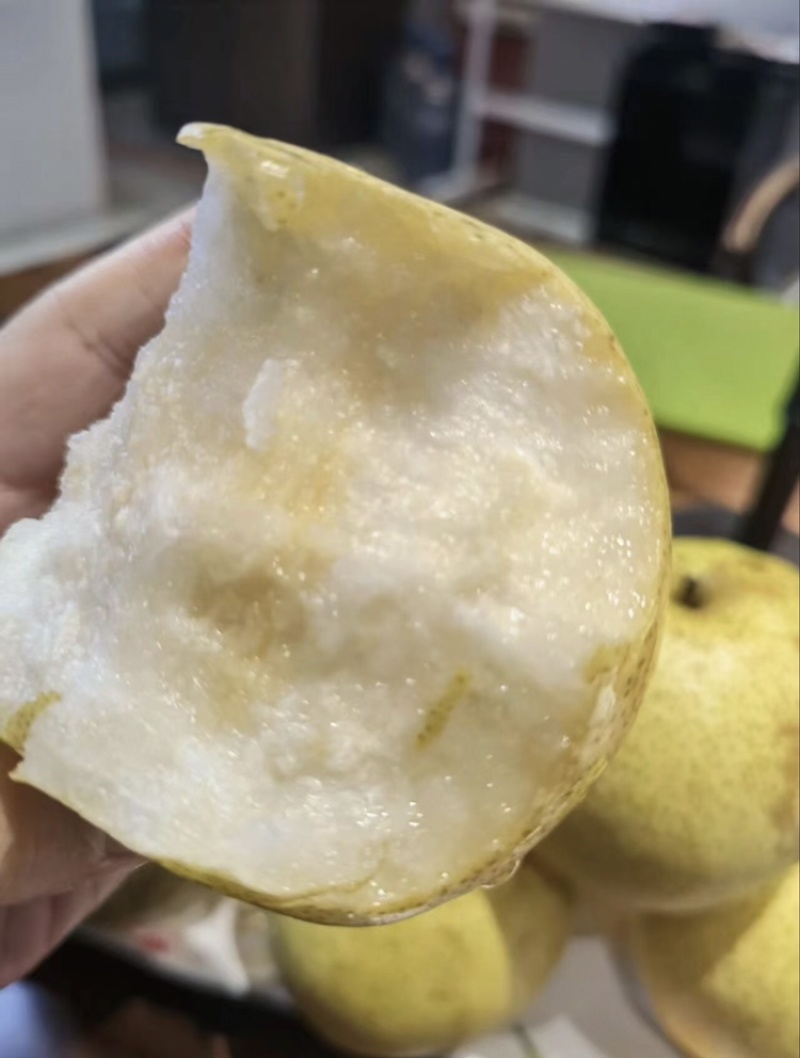 精品-蒲城酥梨-产地直发-量大从优-价格优惠-电话在线