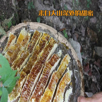 精品蜂蜜四川绵阳土蜂蜜蜂场直供自产自销欢迎