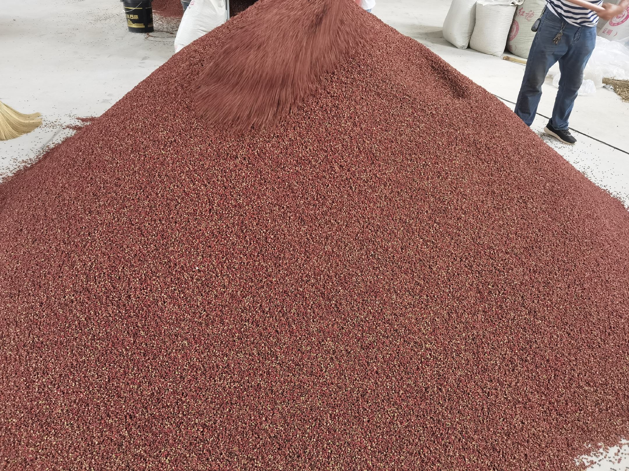 专业中药房实景:突出汉源大红袍花椒作为道地药材的规范储存形态,研钵展示其入药常用粗粉状态,背景强调其在中医'温里药'分类中的法定地位 传统中药房场景:玻璃罐中盛放饱满紫红色汉源大红袍花椒,旁置研钵与少量研磨成粗粉的花椒,背景可见《中国药典》与温里药分类标签