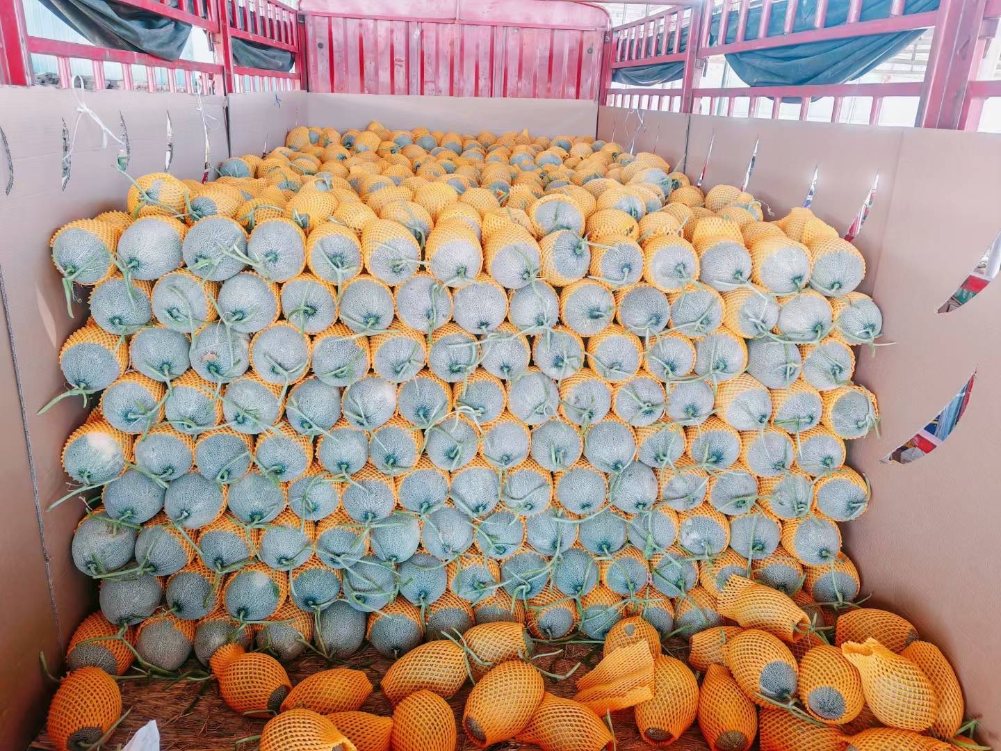 西州蜜瓜包装销售图