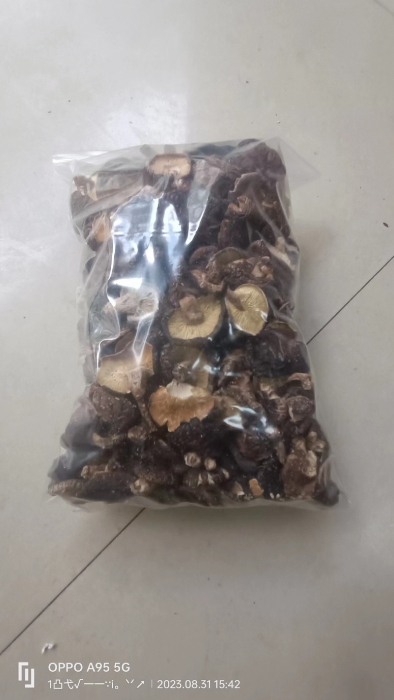 干香菇品质好口感好诚信发货对接大山采摘零售货源