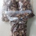干香菇品质好口感好诚信发货对接大山采摘零售货源