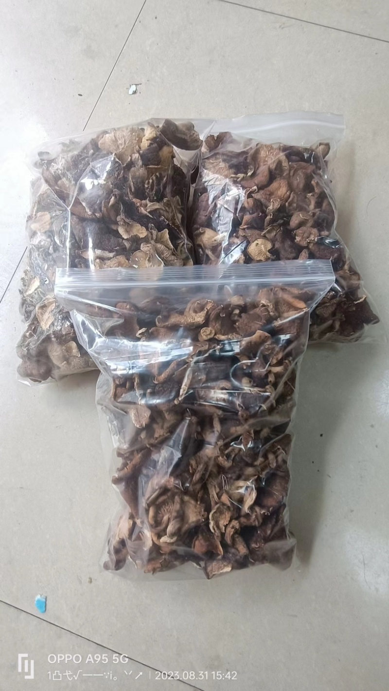 干香菇品质好口感好诚信发货对接大山采摘零售货源