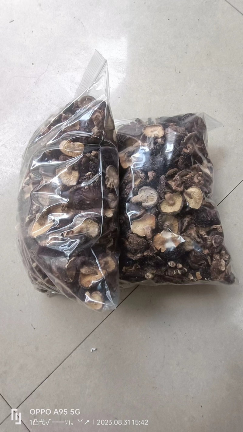 干香菇品质好口感好诚信发货对接大山采摘零售货源