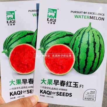 卡其早春红玉西瓜种子坐瓜整齐质细无渣口感好杂交礼品西瓜