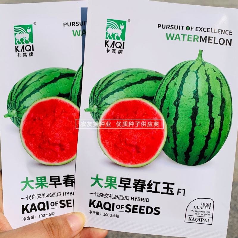 卡其早春红玉西瓜种子坐瓜整齐质细无渣口感好杂交礼品西瓜