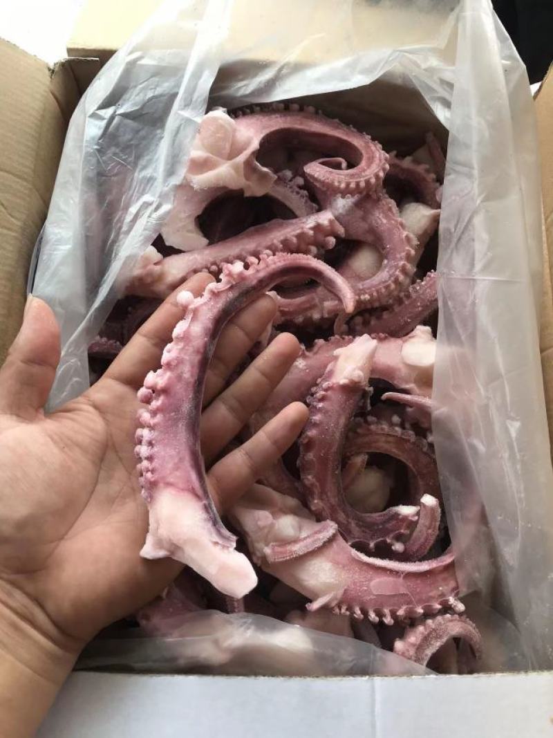 大章鱼足新鲜冷冻章鱼小章鱼足脆口鱿鱼须深海章鱼须