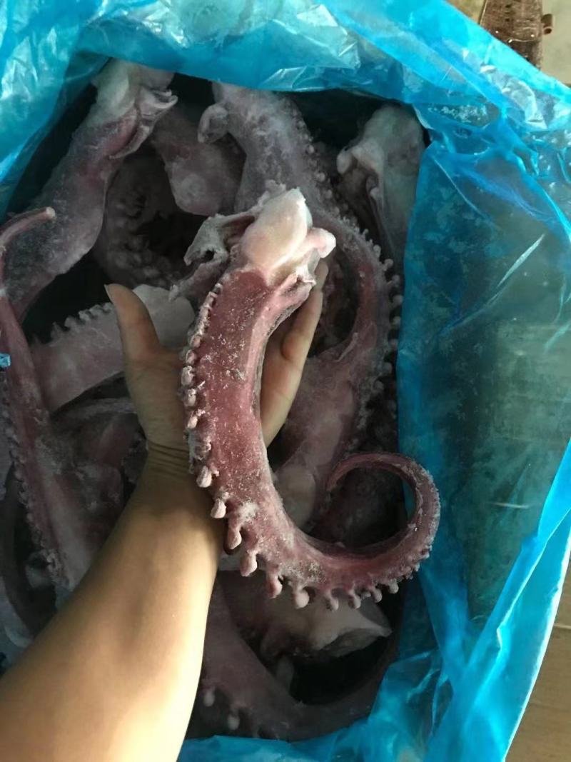 大章鱼足新鲜冷冻章鱼小章鱼足脆口鱿鱼须深海章鱼须