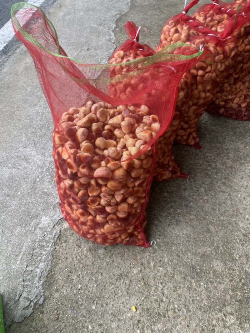 花皮新鲜板栗，皮薄果大，色泽金黄，无污染无残留