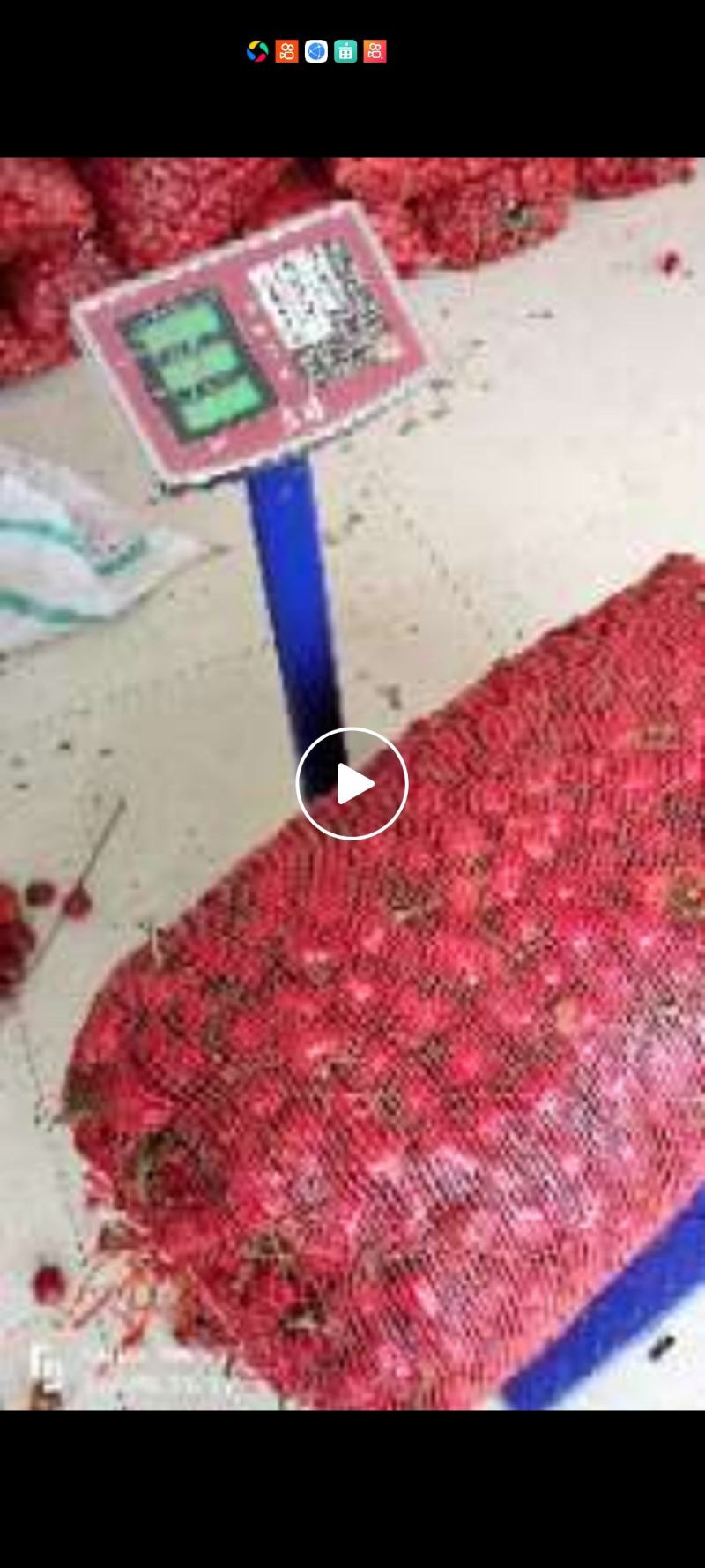 草莓椒