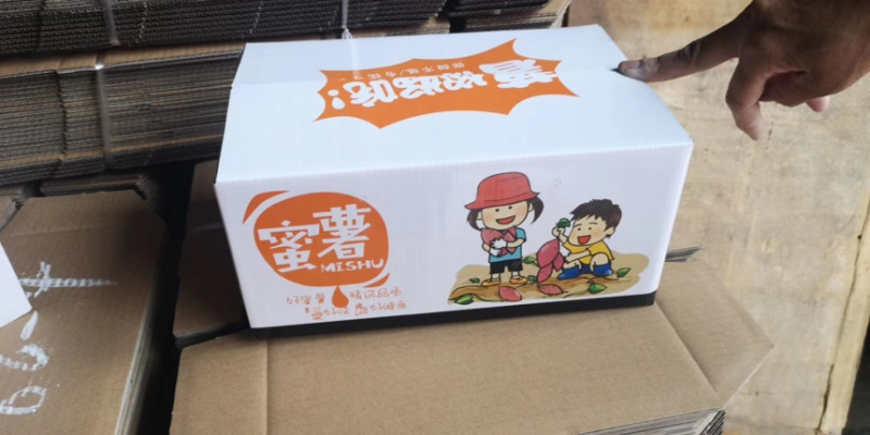 山东烟台海阳烟薯25正宗产地一件代发落地配团购