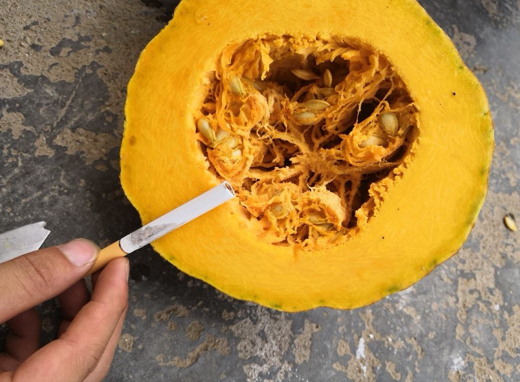 阿根廷奶油南瓜整体外观