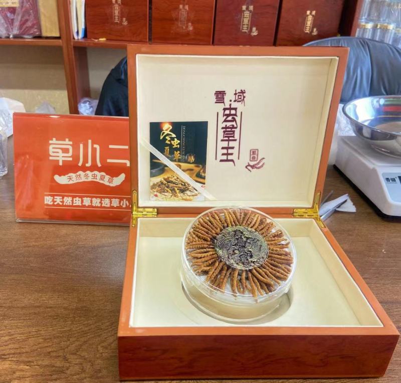 西藏那曲虫草