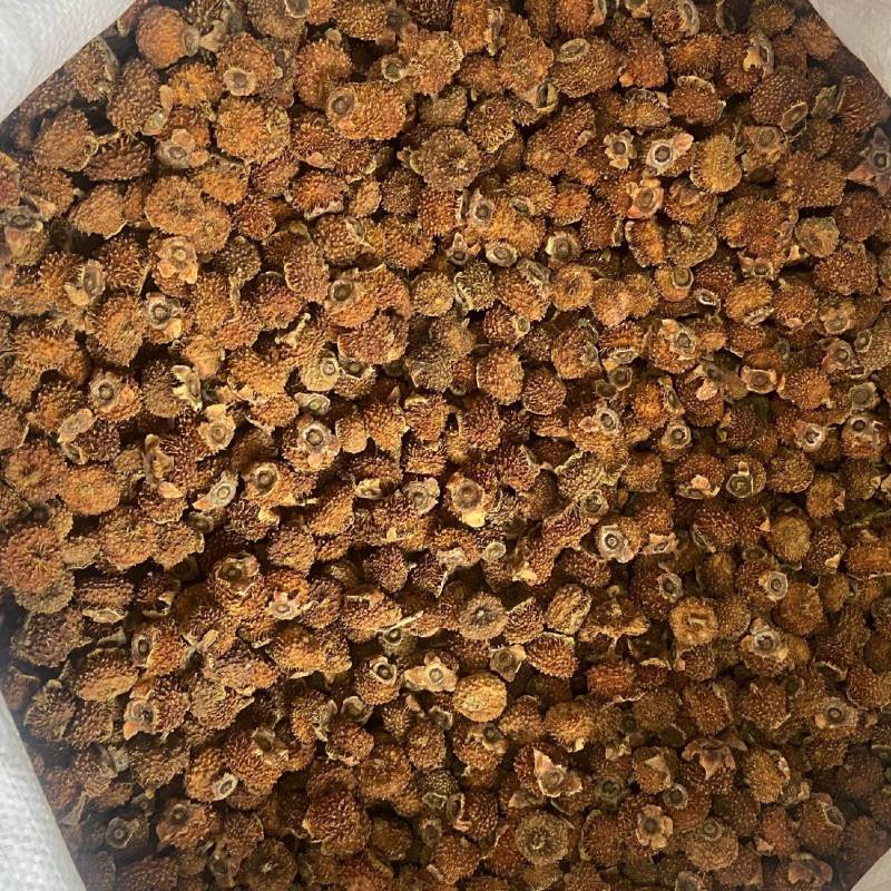 贵州5号刺梨干刺梨果干刺梨大货批发