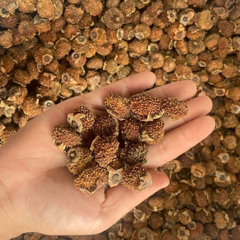 贵州5号刺梨干刺梨果干刺梨大货批发