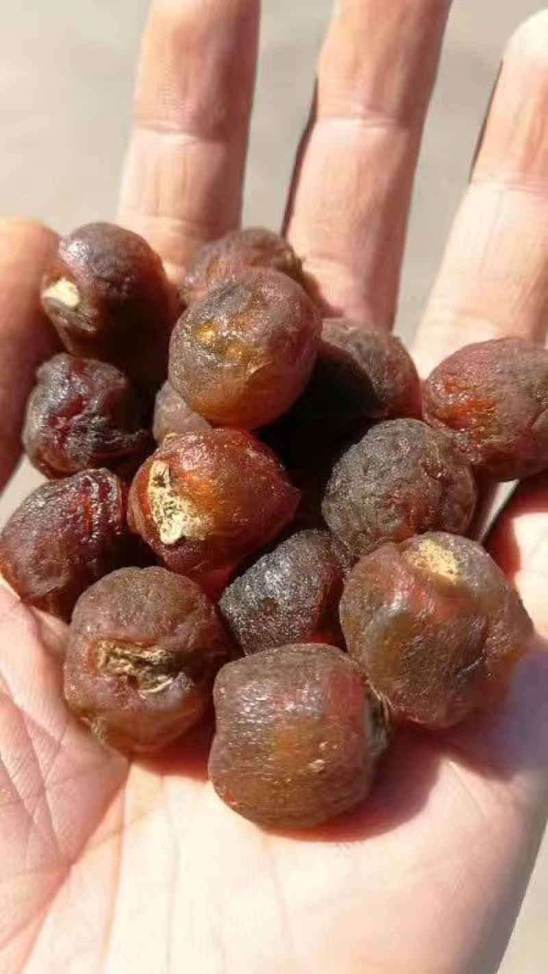 新货大颗粒原装进口泰国桂圆干原味散装整箱批发量大优惠