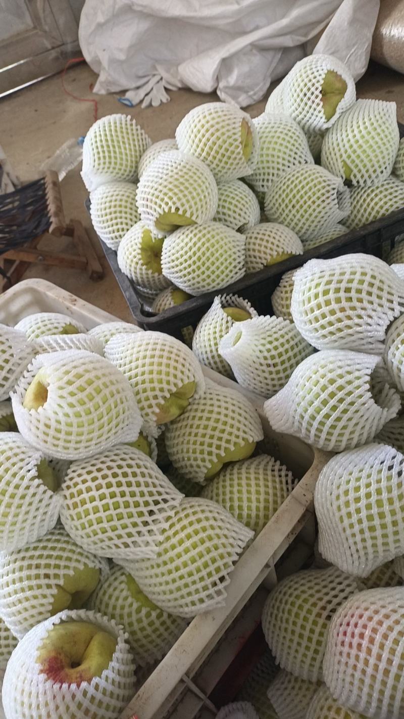 江苏