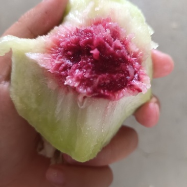 江苏