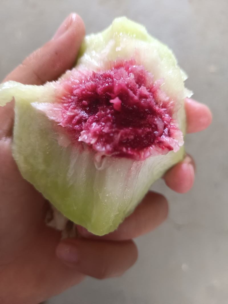 江苏