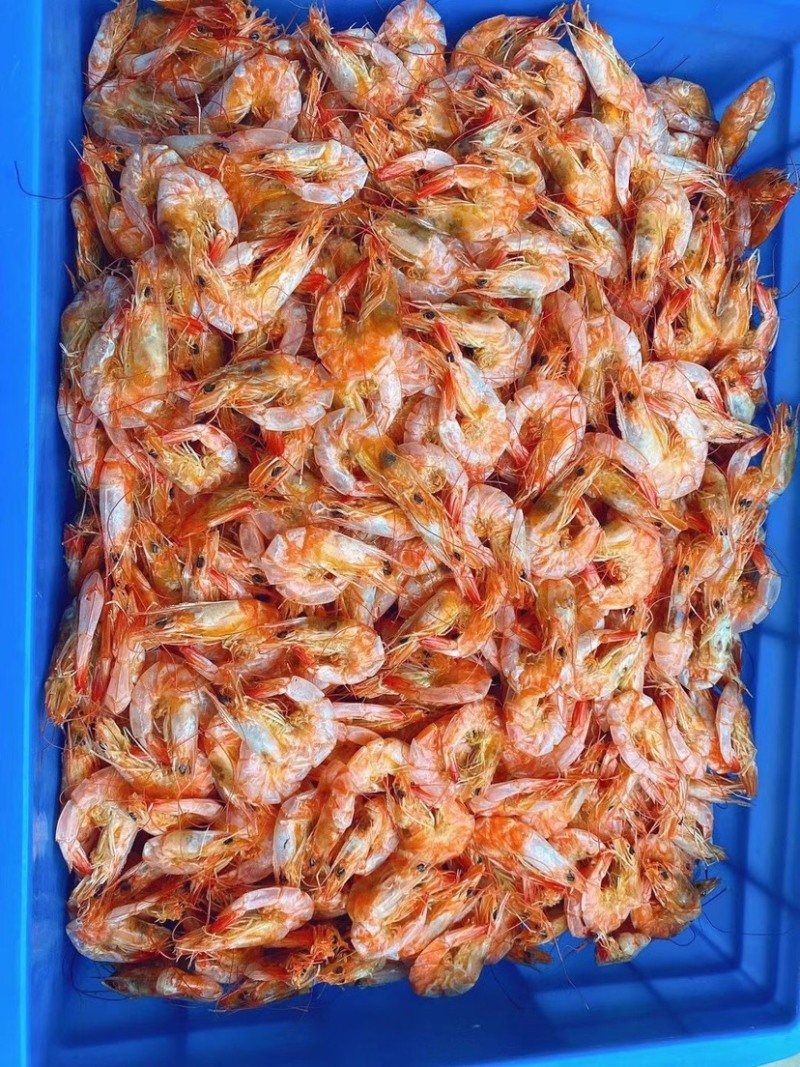 纯咸水南美对虾新鲜上市