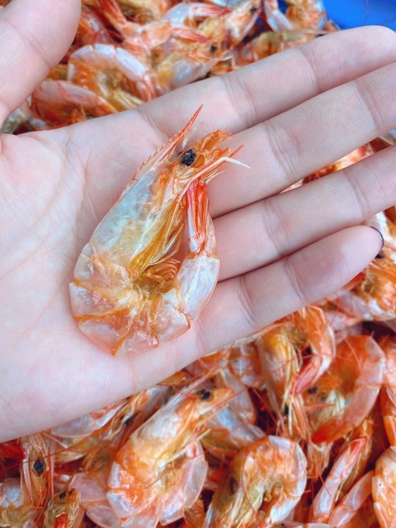 纯咸水南美对虾新鲜上市