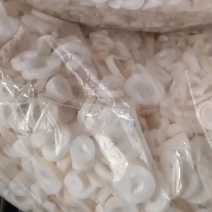 通草大通草干货量大优惠2斤起包邮